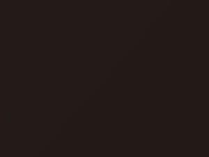 Oldsmobile All Models Dark Antelope Metallic 1989 67, 9094, WA9094 - Scratch Repair