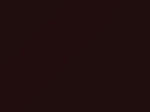 Saab All Models Garnet 1991 213B
