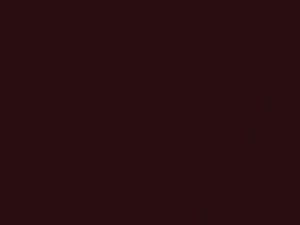 Subaru All Models Claret Metallic 1993 265