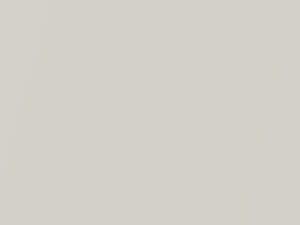 BMW M Series Brilliant Weiss Pearl 2008 490, U21 - Scratch Repair