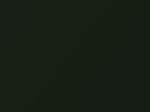 Dodge Ram Pickup Moss Green Pearl 1997 PJG, SJG - Scratch Repair