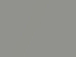 Jaguar All Models Opalescent Silver Metallic/Silver Gray Metallic 1973 260, MDB