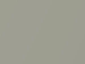 Toyota All Models Light Gray Green Mica 2011 6Q0