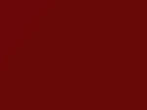 Ford Escort Bright Red 2000 E3 - Scratch Repair