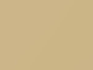 Oldsmobile All Models Camel Beige 1991 57, 9611, WA9611 - Scratch Repair