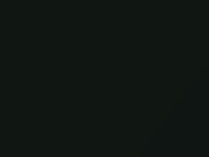 Ford Transit Nx Green Gem Metallic 2 2021 7296, DGXE, M7296A, W6, W7515G, WT7515