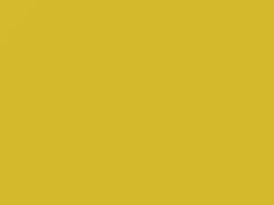 Toyota All Models Solar Yellow Pearl 1991 568