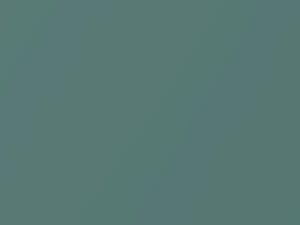 Nissan All Models Light Green Metallic 1984 818