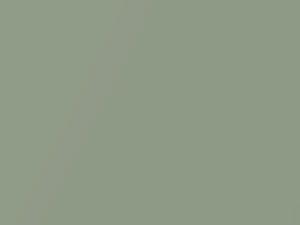 Dodge All Models Light Green Metallic 2011 DT7964