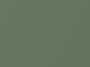 Dodge All Models Light Green Metallic 2011 DT7960