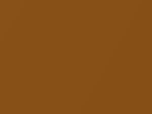 Dodge Ram Truck Tequila Sunrise Pearl 2012 PJA - Scratch Repair