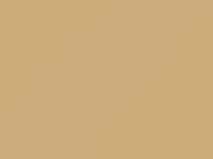 Nissan Altima Beige 2019 HAF