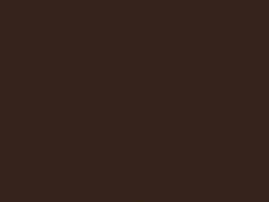 Toyota 4RUNNER Medium Brown Metallic 1990 4K4