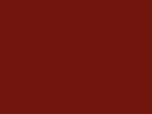 Honda All Models Chianti Red Pearl 1990 R67M