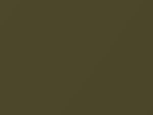 Toyota All Models Olive 1991 6L4