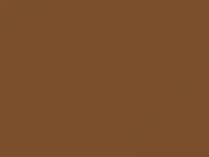 Toyota All Models Grain Beige 1983 497