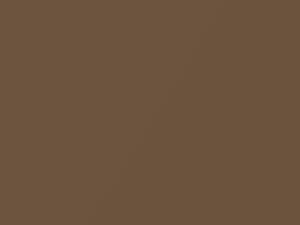 Pontiac All Models Medium Brown Metallic 1988 69U, 9514, WA9514