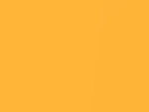 Lamborghini All Models Giallo Orion Pearl 2000 004512, 0056