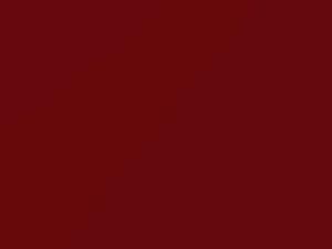 Chevrolet All Models Bright Red 1989 81U, 9521, WA9521