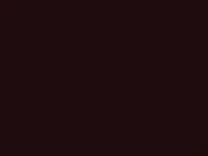 Chrysler All Models Rubens Maroon 1980 AC10612