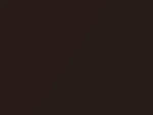 Toyota All Models Dark Brown Pearl 1990 4L4