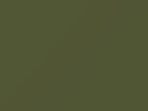 Nissan All Models Olive Green 1987 597