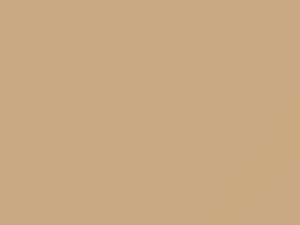 Chevrolet All Models Light Mesa Brown 1992 33, 9207, WA9207 - Scratch Repair