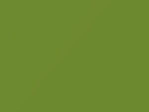 Volkswagen All Models Primaveragruen 2008 D0, DO, E0, E0E0, J6E, LJ6E - Scratch Repair