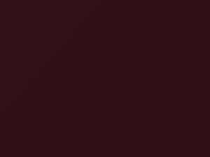 Nissan All Models Dark Red Purple Pearl 1994 LN0