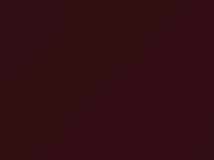 Toyota All Models Dark Red Pearl 1990 3J5