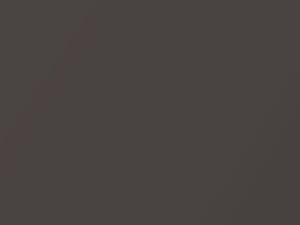 Kia Venga Cashmere Brown Mica 2010 NSW