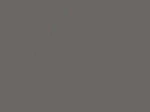 Chrysler All Models Ascot Gray 2011 AY110PAB, PAB