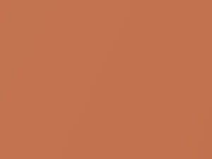 Ford All Models Tangerine Metallic 1995 CN, CP - Scratch Repair