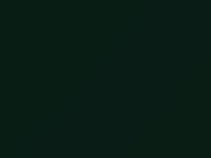 Volkswagen All Models Irish Green 2018 9478, 9487, B6B, LB6B, M8
