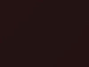 Nissan All Models Dark Red Pearl 1993 624