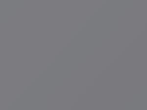 Kia All Models Sumbeam Silver Metallic 1992 K3