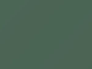 Nissan All Models Leaf Metallic 1981 719 - Scratch Repair