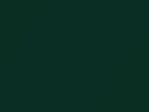 Nissan All Models Emerald Green Metallic 1975 303
