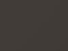 Nissan All Models Brownish Gray Metallic 1985 215