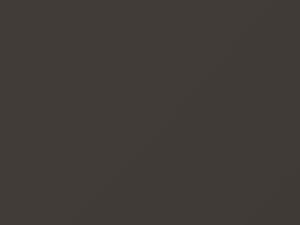 Nissan All Models Brownish Gray Metallic 1984 215