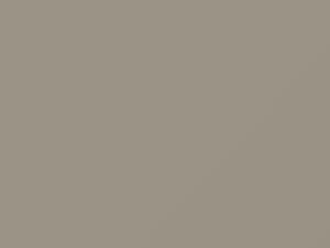 Mitsubishi All Models Barcelona Beige Metallic 1989 AC10855, S55