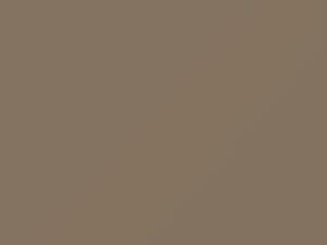 Isuzu All Models Sand Beige 1991 707, U101P802-0
