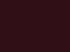 Ford All Models Medium Cranberry Metallic 1993 6444