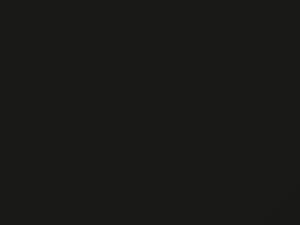 BMW All Models Malachitgruen Metallic 1989 205