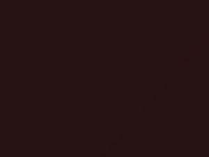 Lotus All Models Claret Red Metallic 1988 A62