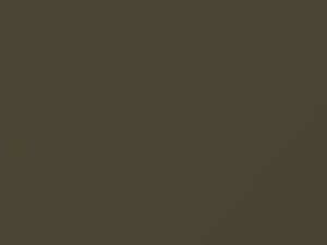 Nissan All Models Grayish Leaf Metallic 1982 17 - Scratch Repair