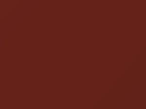 Mitsubishi Eclipse Durango Copper Pearl 1995 AC11101, P01