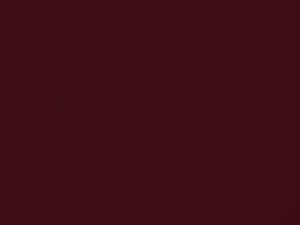 Chrysler All Models Rasberry Red Pearl 1994 AC10833, HM3, M3
