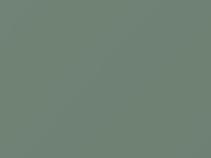 Nissan All Models Sea Mist Pearl 1990 FG0 - Scratch Repair