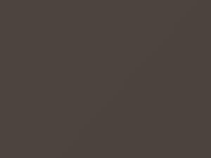 BMW All Models Louxorbeige Metallic 1989 219 - Scratch Repair